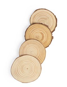 Rodaja Madera Personalizada