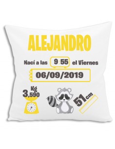 Cojín Personalizado Natalicio Dibujo - Detalles/Regalos